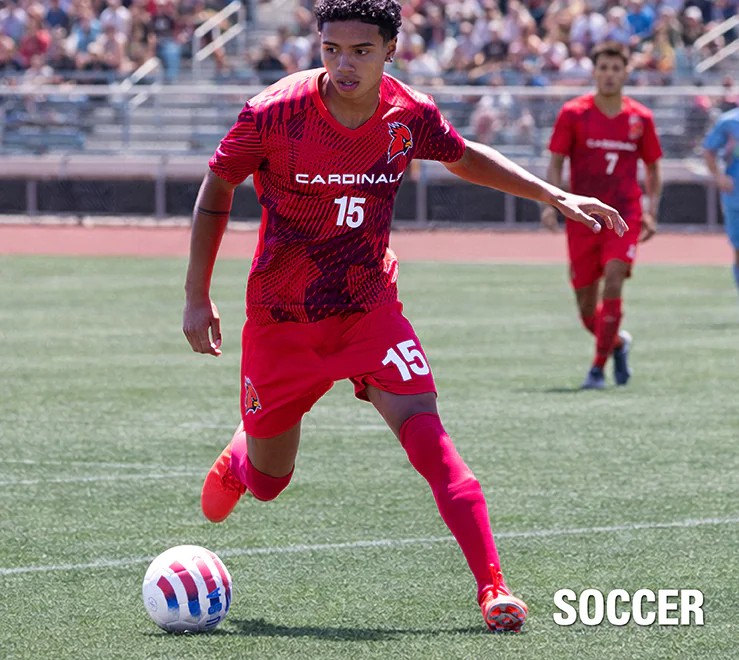 See Sublimated Styles